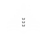 Logo econinnova blanc